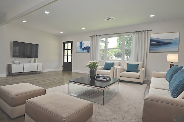 living room with wood-type flooring