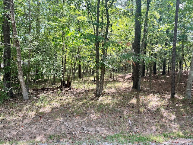 86 S Fairway Loop, Coldspring TX, 77331 land for sale