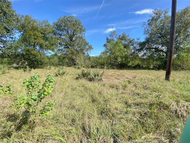 TBD Sour Lake Cir, Cleveland TX, 77327 land for sale