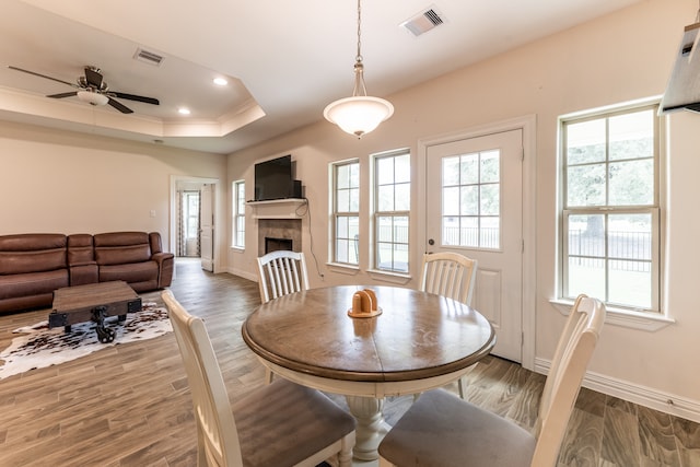 dining room featuring a raised ceiling, ceiling fan, dark wood-type flooring, and a healthy amount of sunlight