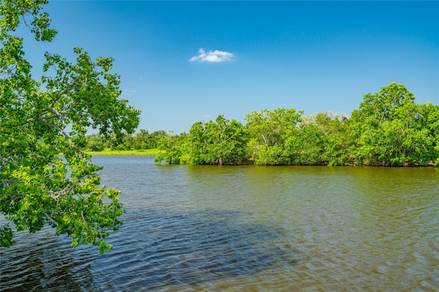 26720 Waller Gladish Rd, Waller TX, 77445 land for sale