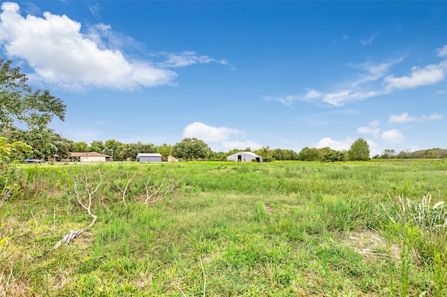 view of local wilderness featuring a rural view