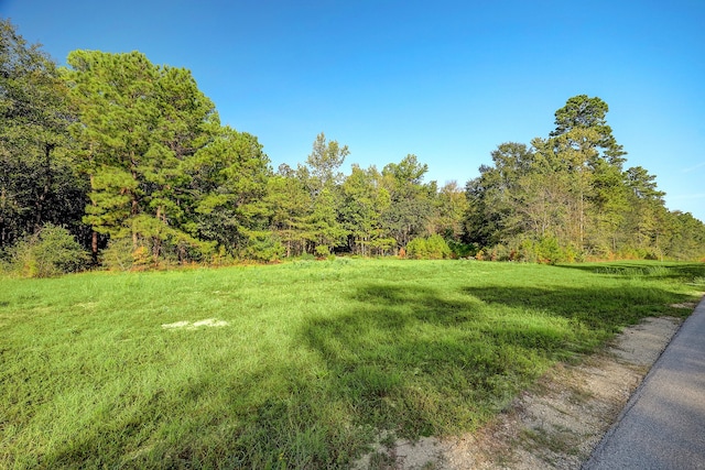 189 Rim Rock Rd, Huntsville TX, 77340 land for sale