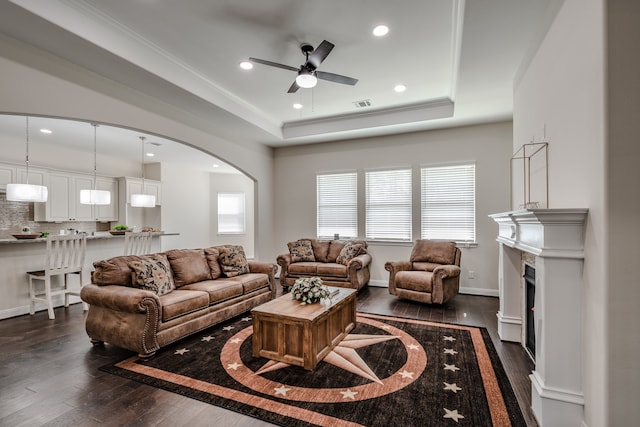 living room featuring a raised ceiling, dark wood-type flooring, and ceiling fan