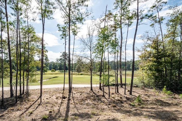 40241 Spyglass Hill Dr, Cleveland, TX 77327 - photo 43