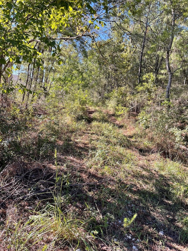 0000 Fm 2090, Splendora TX, 77372 land for sale