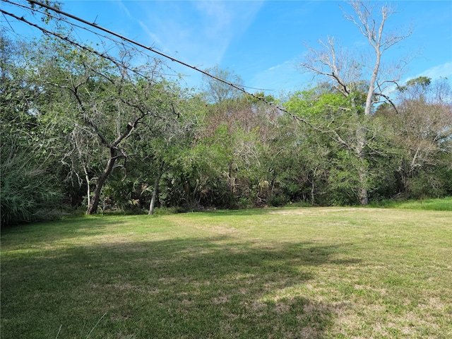 Listing photo 3 for 3309 Todville Rd, Seabrook TX 77586