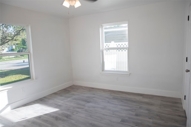 904 Jackson Ave, Pasadena, TX 77506 - photo 8