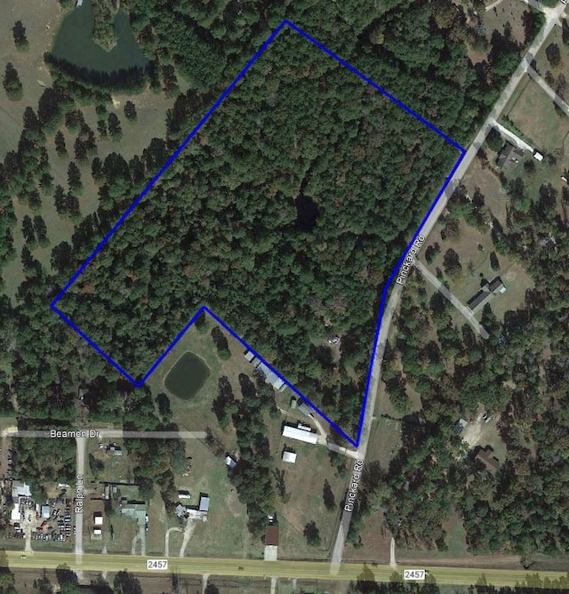 728 Pinckard Rd, Livingston TX, 77351 land for sale