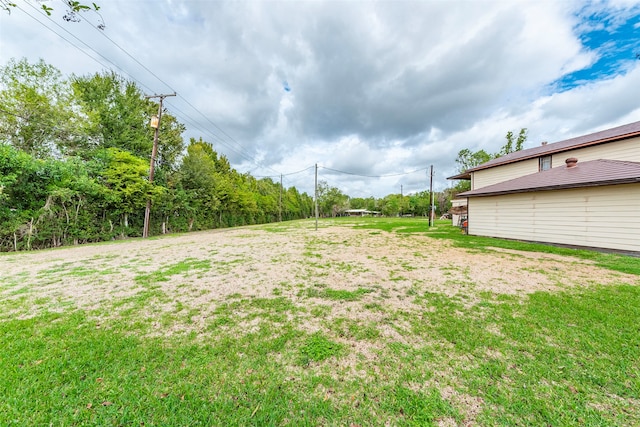 view of yard