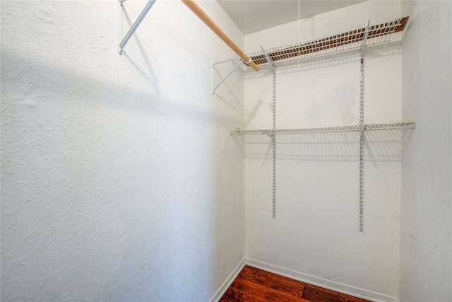 spacious closet with dark hardwood / wood-style flooring