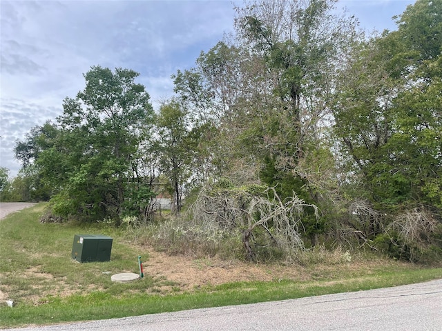 120 N Forest Cove Loop, Coldspring TX, 77331 land for sale