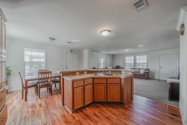 kitchen featuring light carpet, a textured ceiling, sink, and a center island with sink