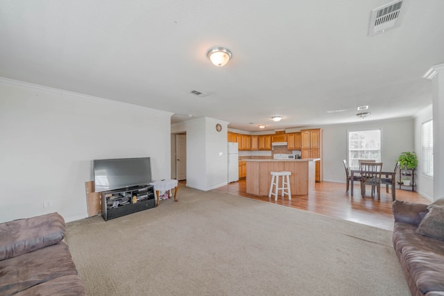 living room featuring crown molding and light colored carpet