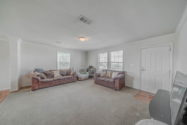 living room with crown molding, a textured ceiling, and light colored carpet