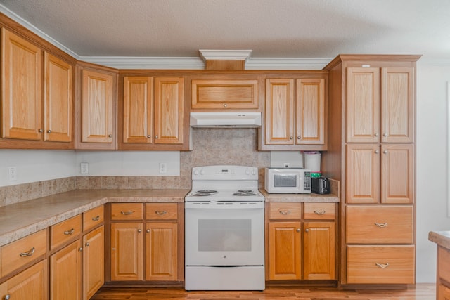 kitchen with light hardwood / wood-style floors and white appliances