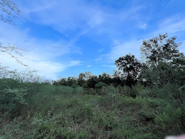 506 Rogers St, Wallis TX, 77485 land for sale