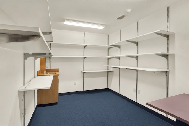 storage room featuring sink