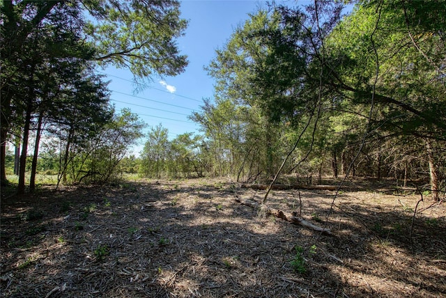 00 County Rd 151, Bedias TX, 77831 land for sale