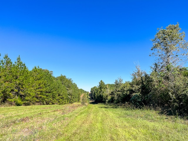 Listing photo 2 for 03 County Road 1090, Center TX 75935