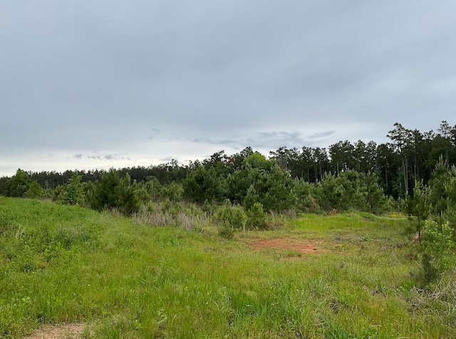 Listing photo 3 for 03 County Road 1090, Center TX 75935