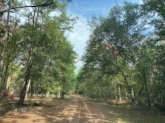 LOT44 Owl Dr, Hempstead TX, 77445 land for sale