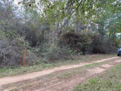 Listing photo 3 for LOT44 Owl Dr, Hempstead TX 77445