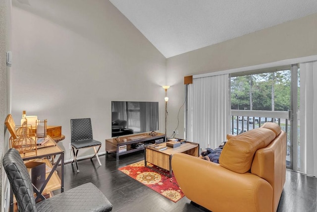 living room featuring dark hardwood / wood-style flooring and high vaulted ceiling