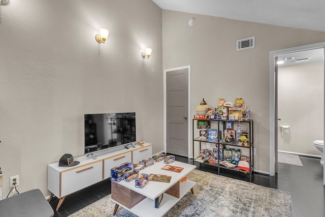 living room featuring lofted ceiling