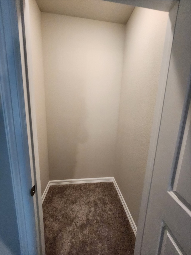 spacious closet featuring carpet floors