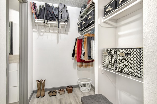 spacious closet with light hardwood / wood-style floors