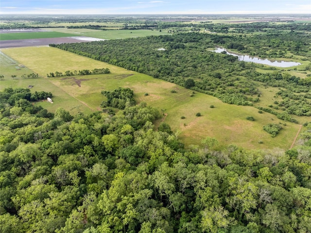 14150 Battle Rd, Beasley, TX 77417 - photo 3