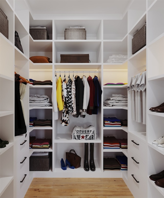 view of spacious closet