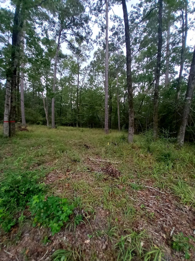 26721 E Pecan Cir, Huntsville, TX 77320 - photo 8