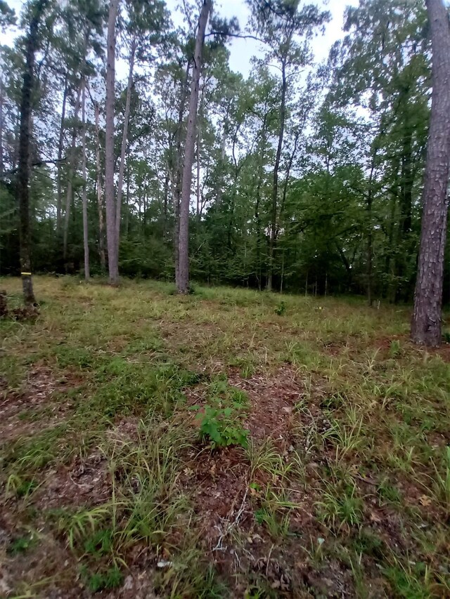 26721 E Pecan Cir, Huntsville, TX 77320 - photo 11