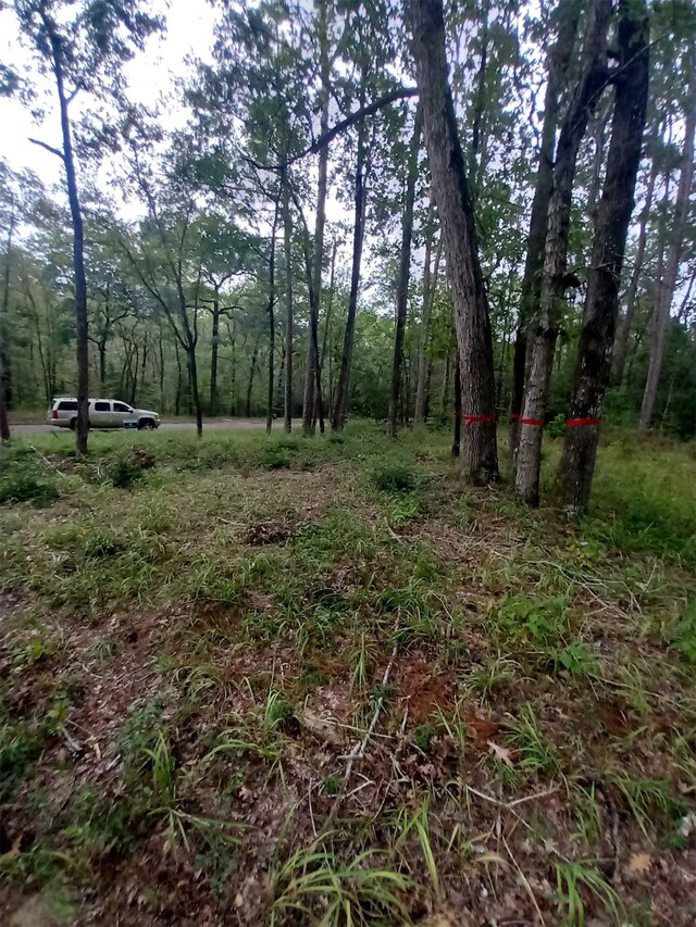 26721 E Pecan Cir, Huntsville, TX 77320 - photo 20