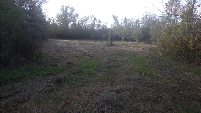 Listing photo 2 for FMCR319 County Road 319, Brazoria TX 77422