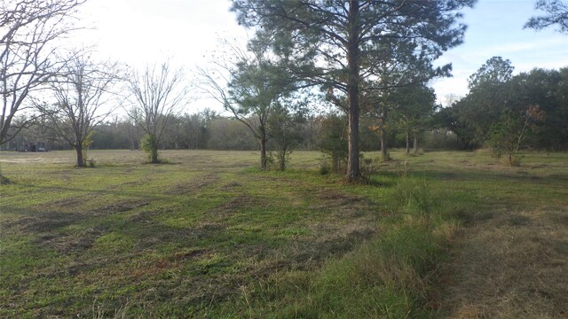 FMCR319 County Road 319, Brazoria, TX 77422 - photo 5