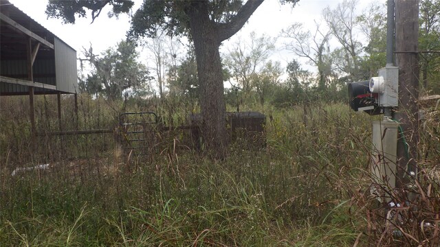 FMCR319 County Road 319, Brazoria, TX 77422 - photo 7