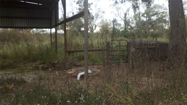 FMCR319 County Road 319, Brazoria, TX 77422 - photo 8