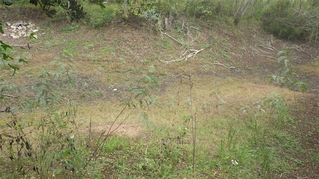 FMCR319 County Road 319, Brazoria, TX 77422 - photo 9