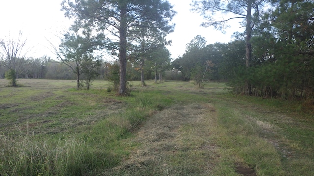 FMCR319 County Road 319, Brazoria, TX 77422 - photo 10