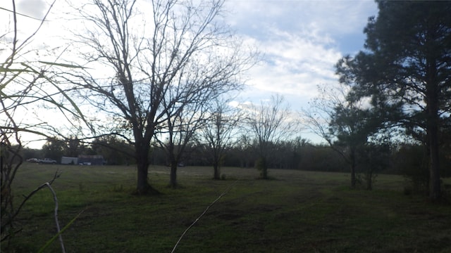 FMCR319 County Road 319, Brazoria, TX 77422 - photo 12