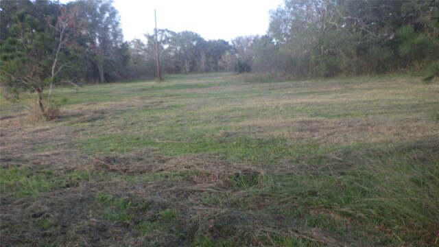 FMCR319 County Road 319, Brazoria, TX 77422 - photo 13