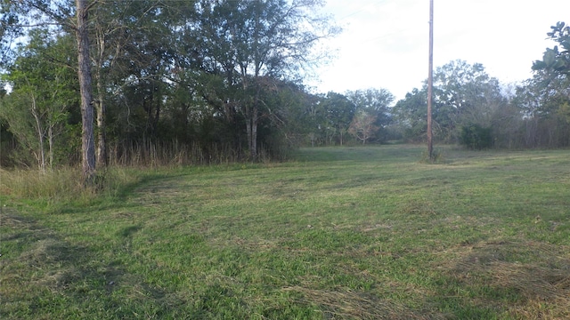 FMCR319 County Road 319, Brazoria, TX 77422 - photo 14