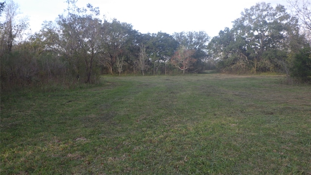 FMCR319 County Road 319, Brazoria, TX 77422 - photo 16
