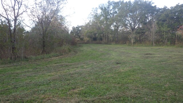 FMCR319 County Road 319, Brazoria, TX 77422 - photo 17