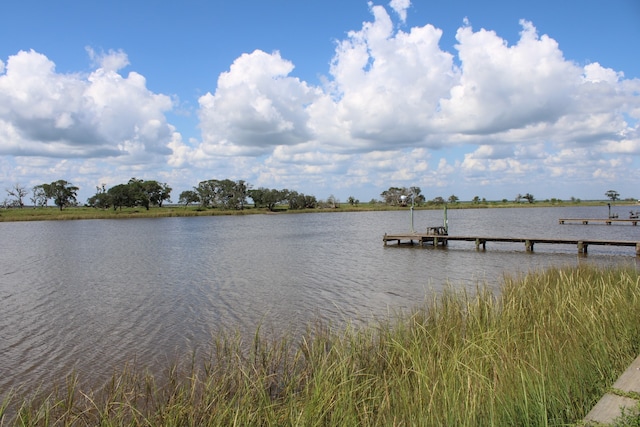 dock area with a water view