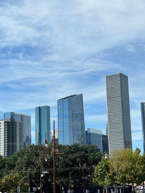 32 N Ennis St, Houston, TX 77003 - photo 5