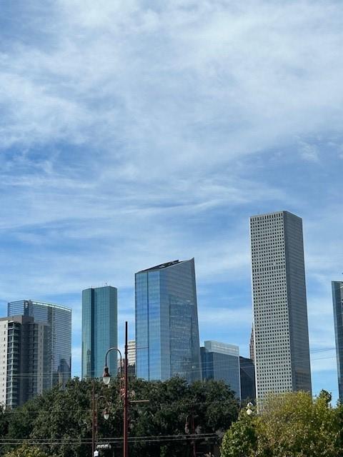 32 N Ennis St, Houston, TX 77003 - photo 6
